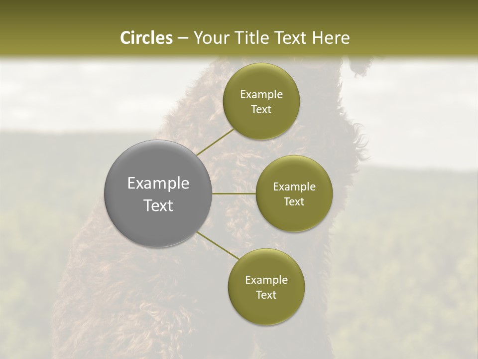 Model Park Grass PowerPoint Template