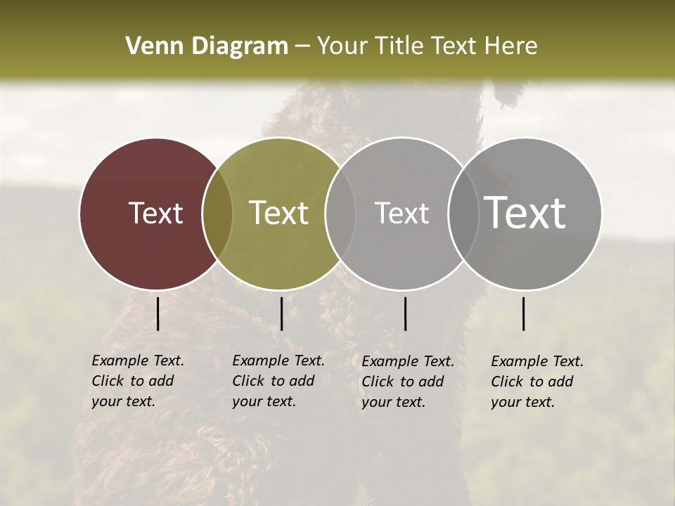 Model Park Grass PowerPoint Template