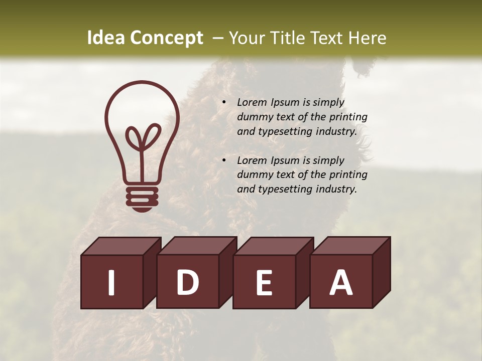 Model Park Grass PowerPoint Template