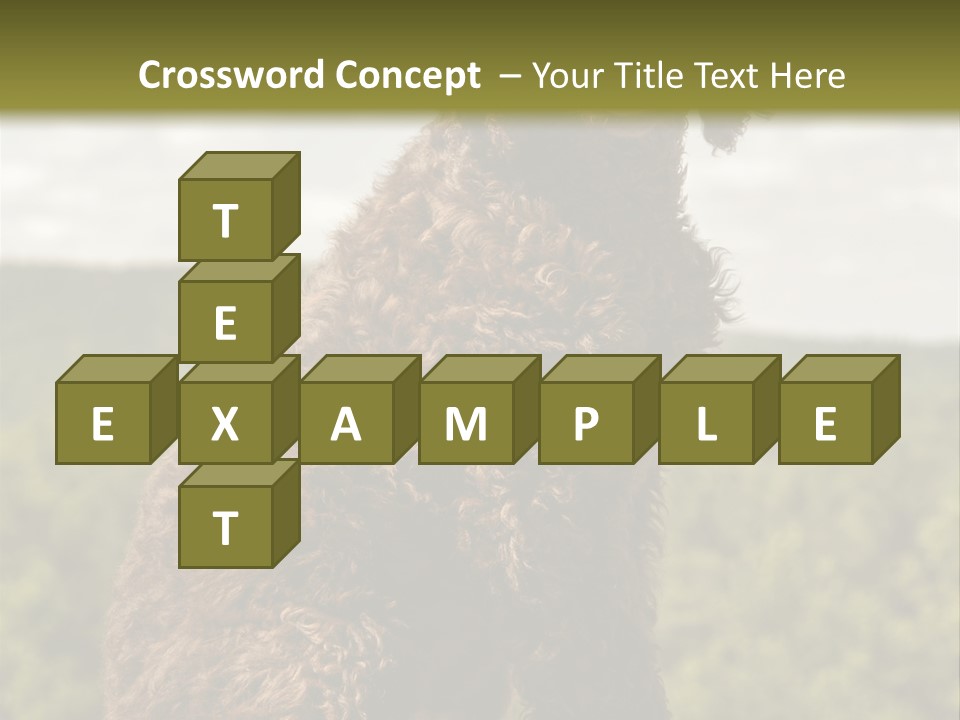 Model Park Grass PowerPoint Template