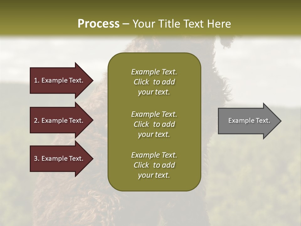 Model Park Grass PowerPoint Template
