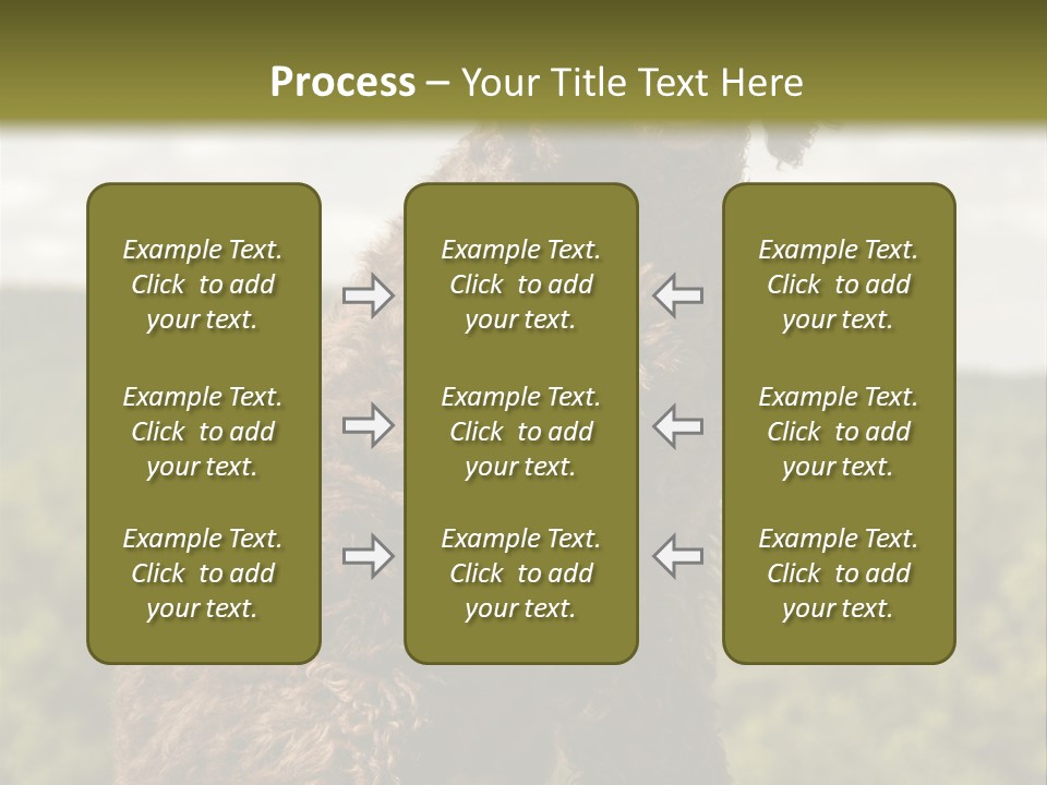 Model Park Grass PowerPoint Template