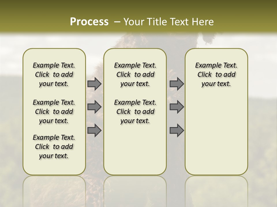 Model Park Grass PowerPoint Template