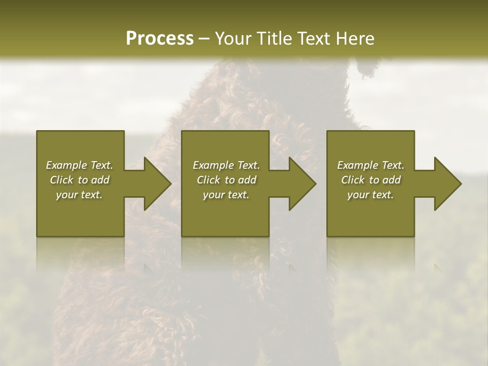 Model Park Grass PowerPoint Template