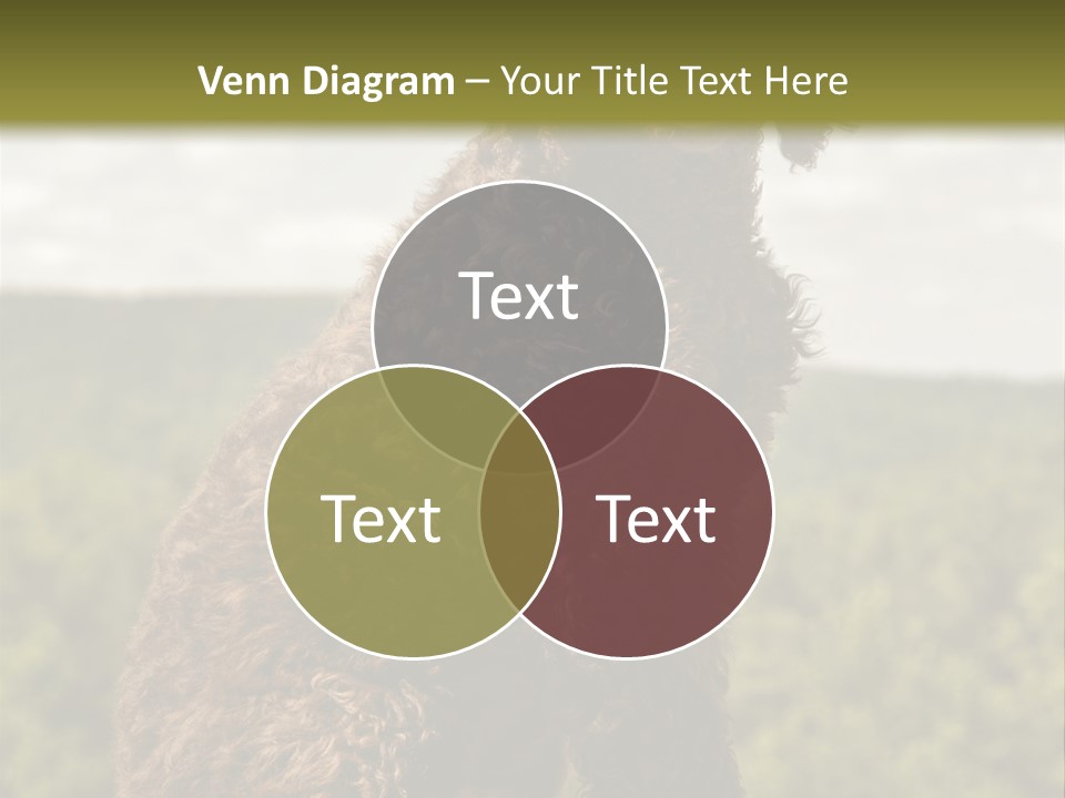 Model Park Grass PowerPoint Template