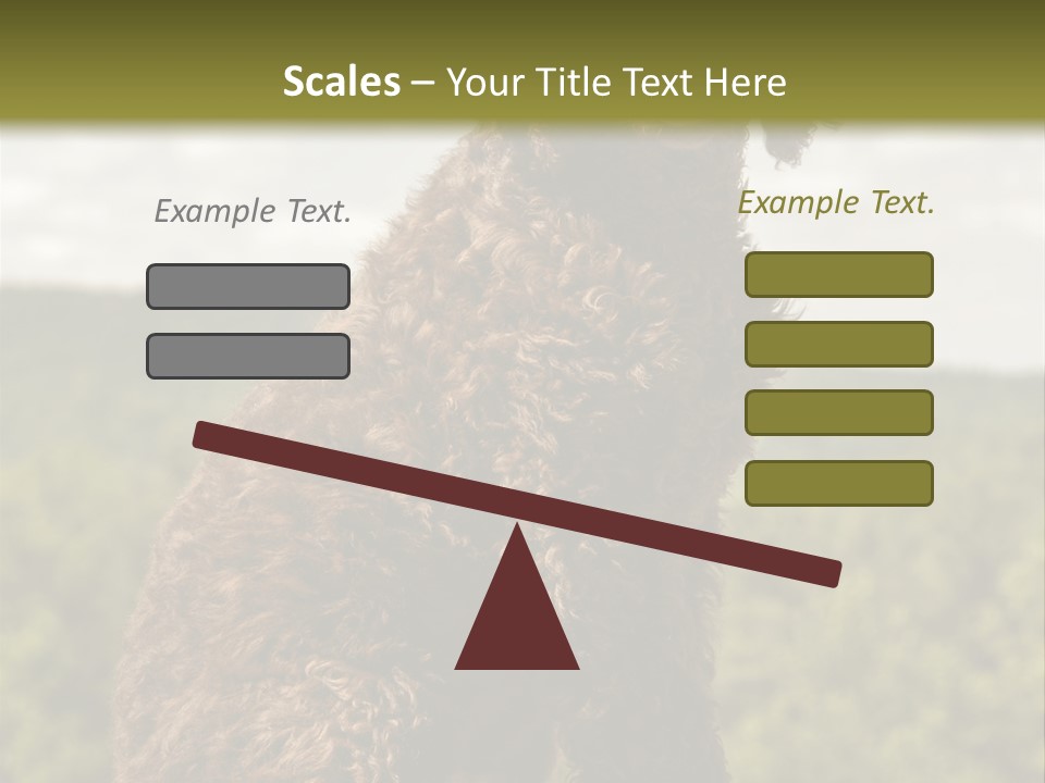 Model Park Grass PowerPoint Template