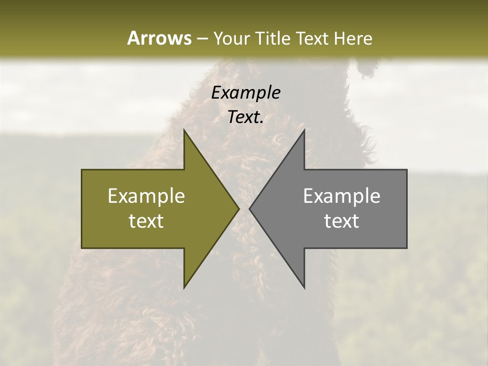 Model Park Grass PowerPoint Template