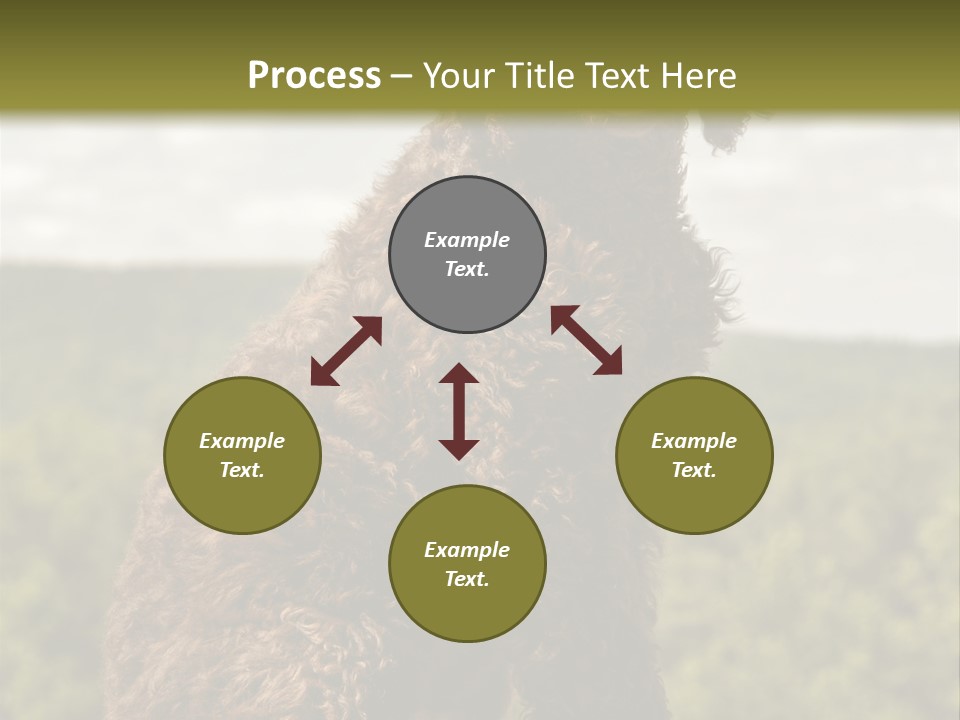 Model Park Grass PowerPoint Template