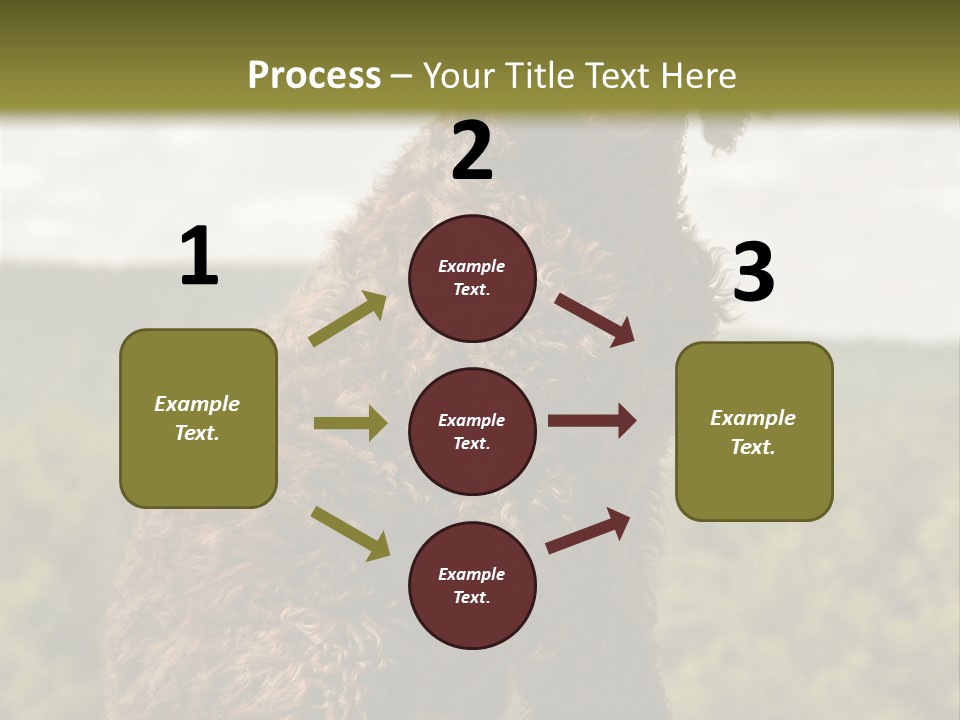 Model Park Grass PowerPoint Template