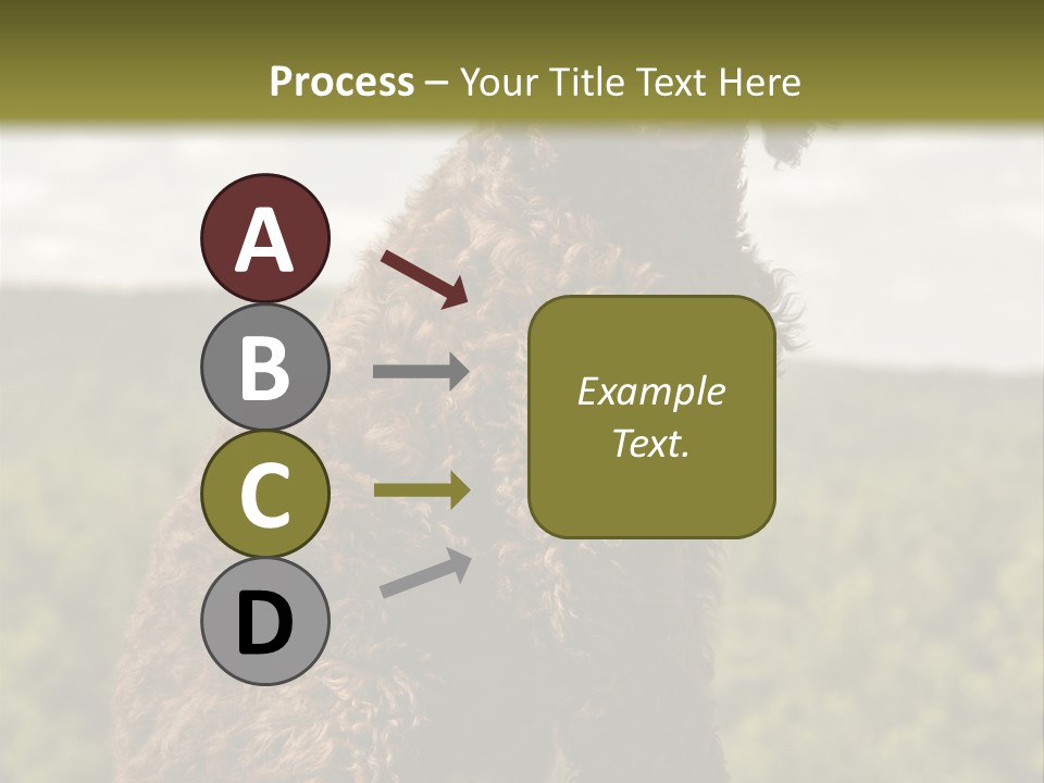 Model Park Grass PowerPoint Template