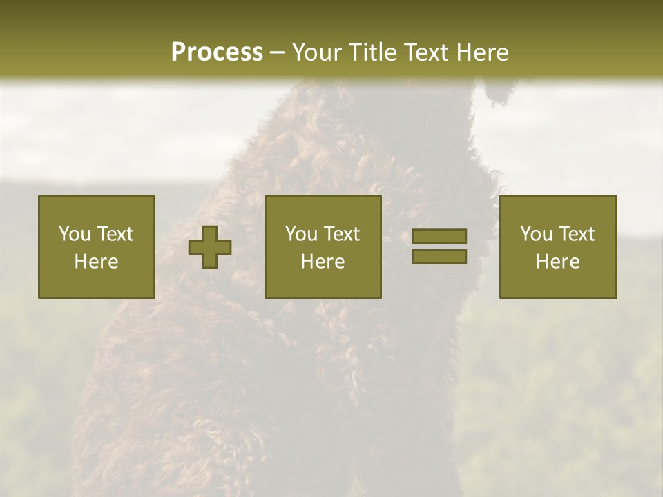 Model Park Grass PowerPoint Template