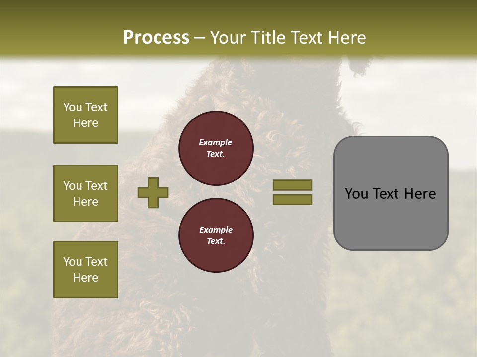 Model Park Grass PowerPoint Template