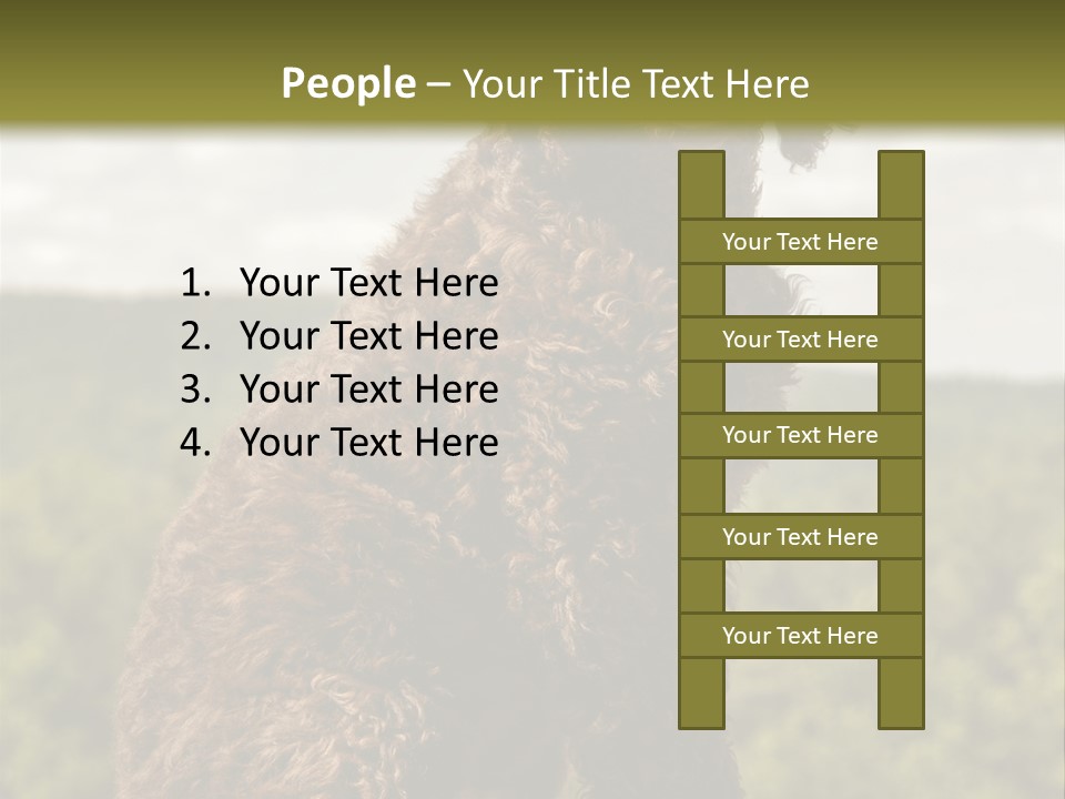 Model Park Grass PowerPoint Template