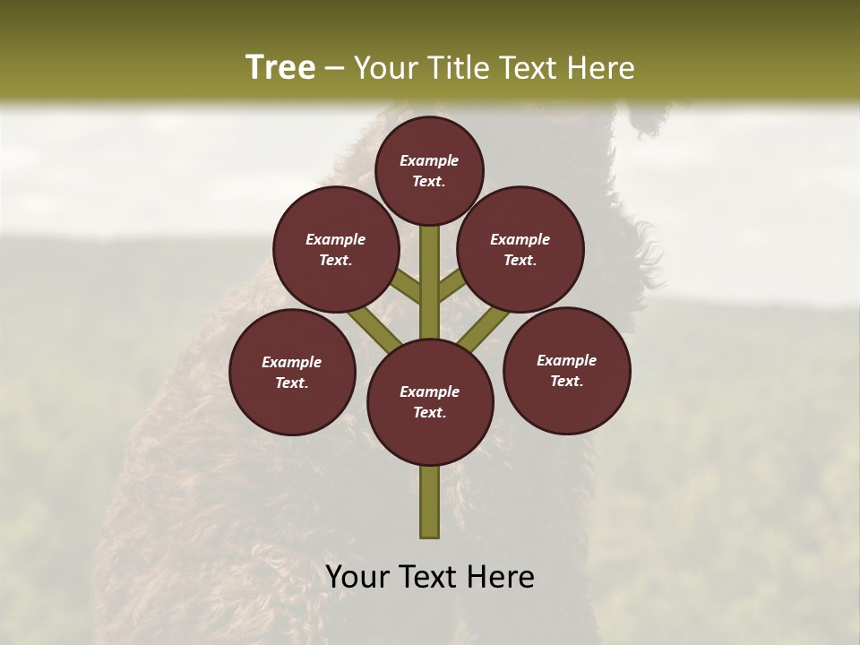 Model Park Grass PowerPoint Template