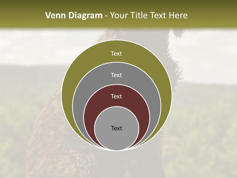 Model Park Grass PowerPoint Template