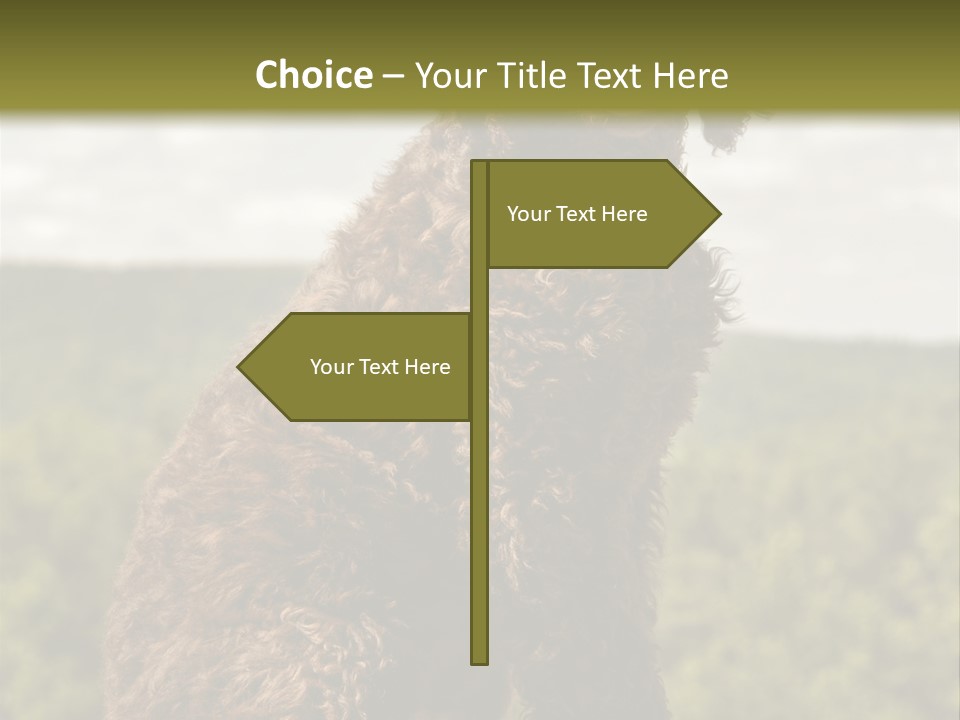 Model Park Grass PowerPoint Template