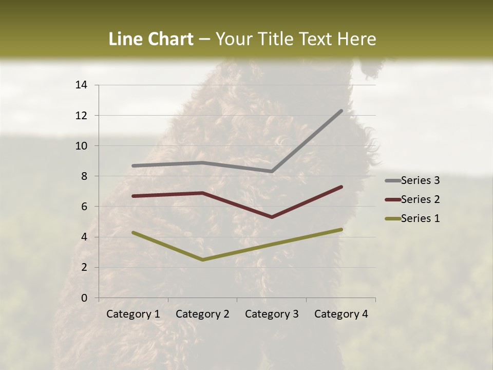 Model Park Grass PowerPoint Template
