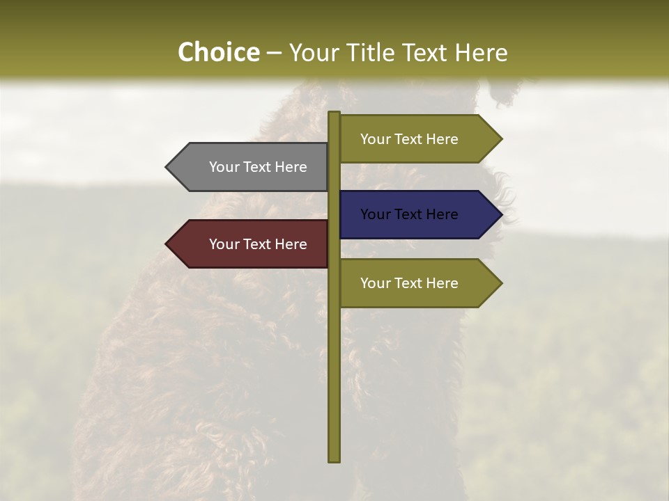 Model Park Grass PowerPoint Template