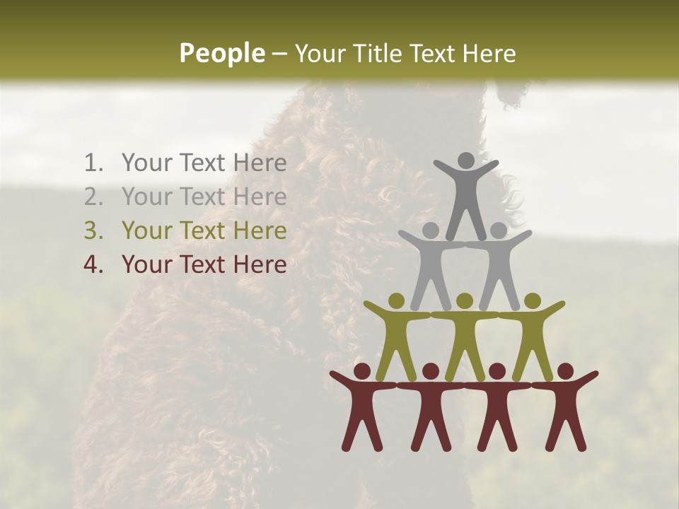 Model Park Grass PowerPoint Template