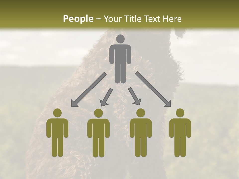 Model Park Grass PowerPoint Template