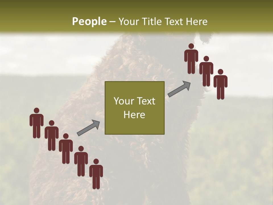 Model Park Grass PowerPoint Template