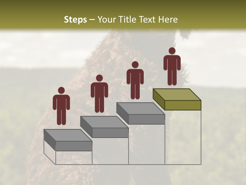 Model Park Grass PowerPoint Template