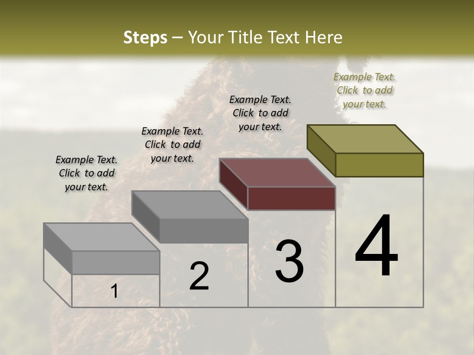 Model Park Grass PowerPoint Template