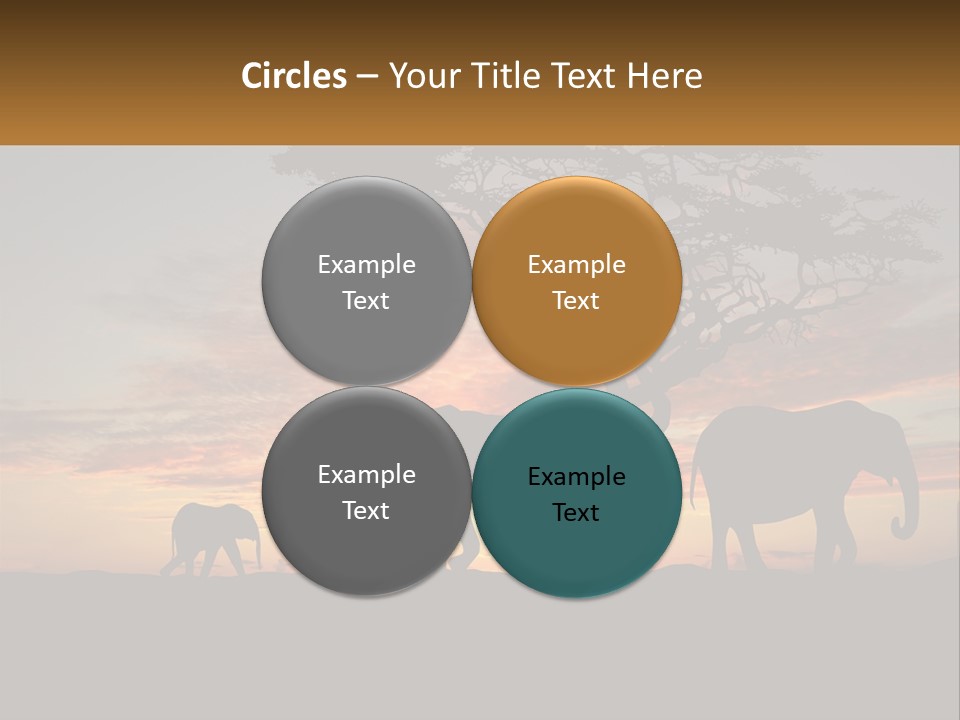 Investment Selling Construction PowerPoint Template