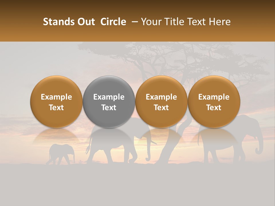 Investment Selling Construction PowerPoint Template