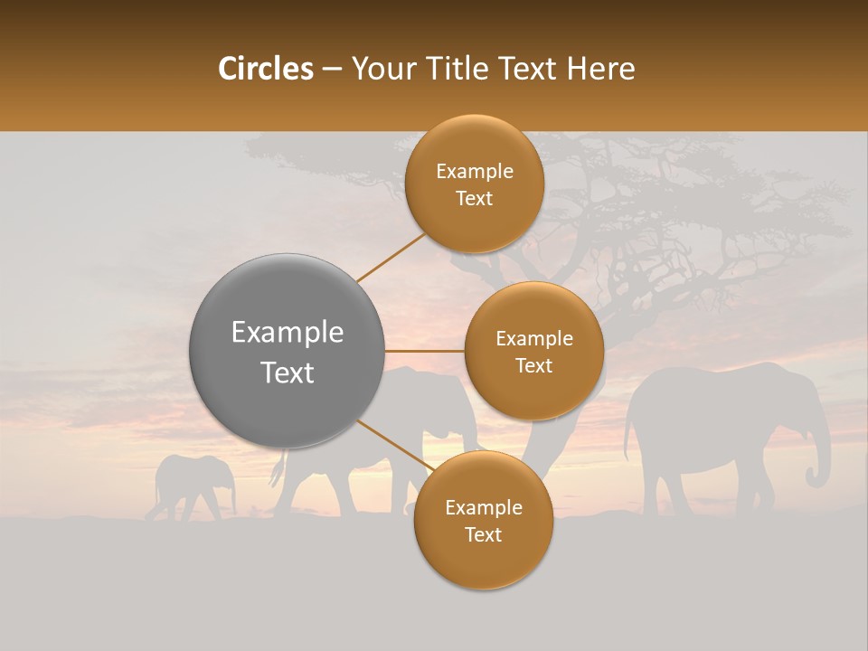 Investment Selling Construction PowerPoint Template