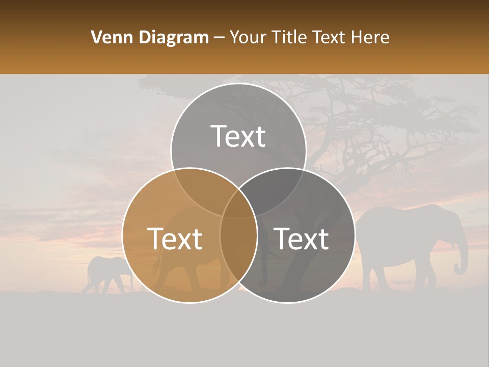 Investment Selling Construction PowerPoint Template