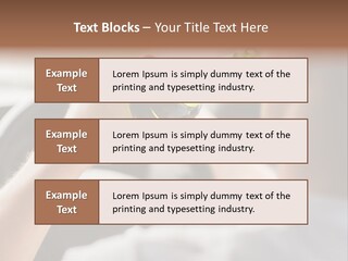 Green Holding Selling PowerPoint Template