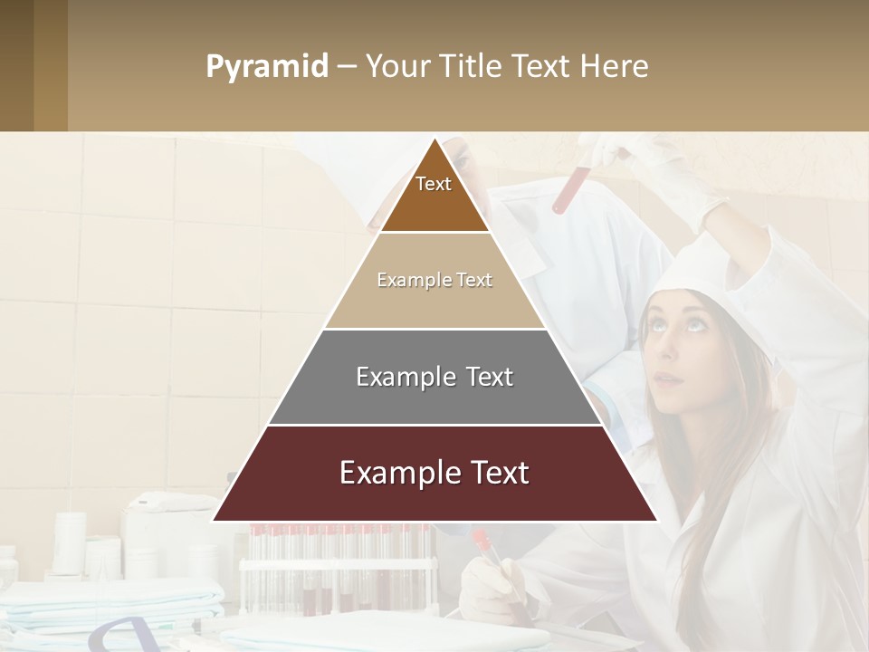 Made Lawn Home PowerPoint Template