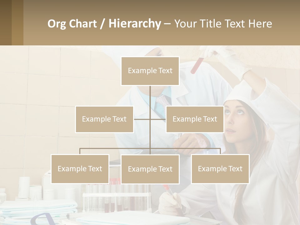 Made Lawn Home PowerPoint Template