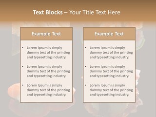 Construction Rent Model PowerPoint Template