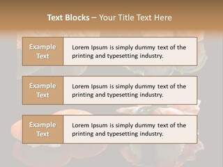 Construction Rent Model PowerPoint Template