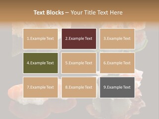 Construction Rent Model PowerPoint Template