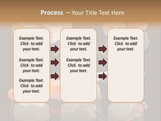 Construction Rent Model PowerPoint Template