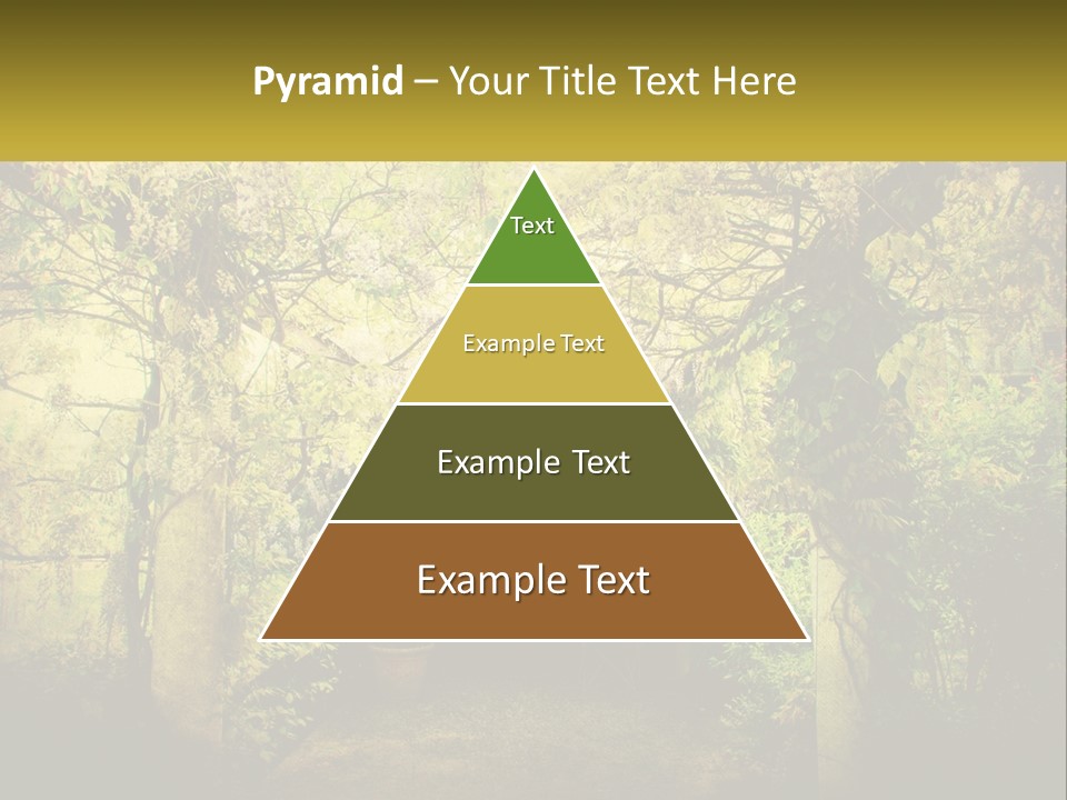 Architect Dream Construction PowerPoint Template
