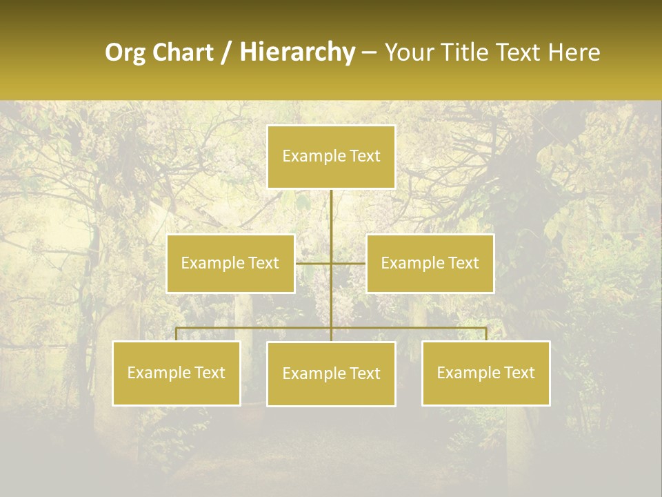 Architect Dream Construction PowerPoint Template