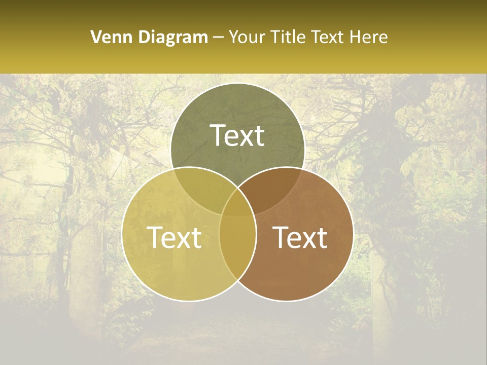 Architect Dream Construction PowerPoint Template