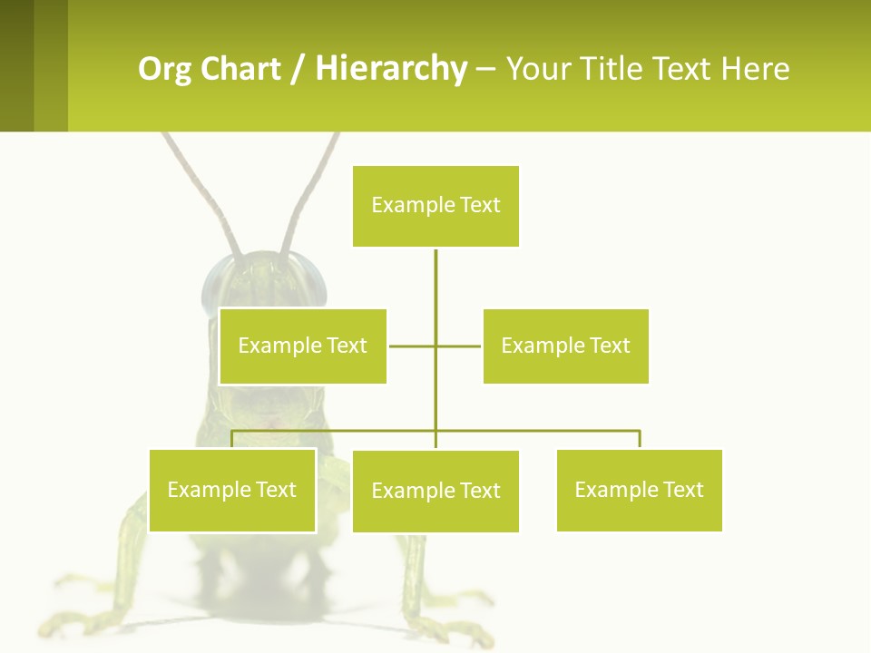 Build Property Sky PowerPoint Template