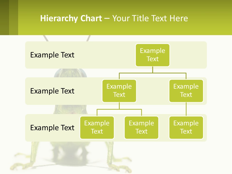 Build Property Sky PowerPoint Template