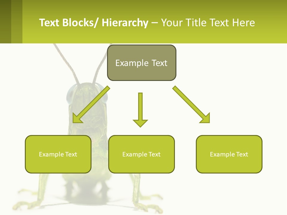 Build Property Sky PowerPoint Template