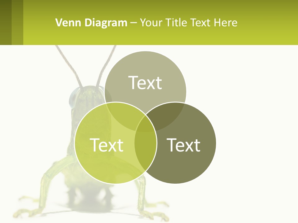 Build Property Sky PowerPoint Template