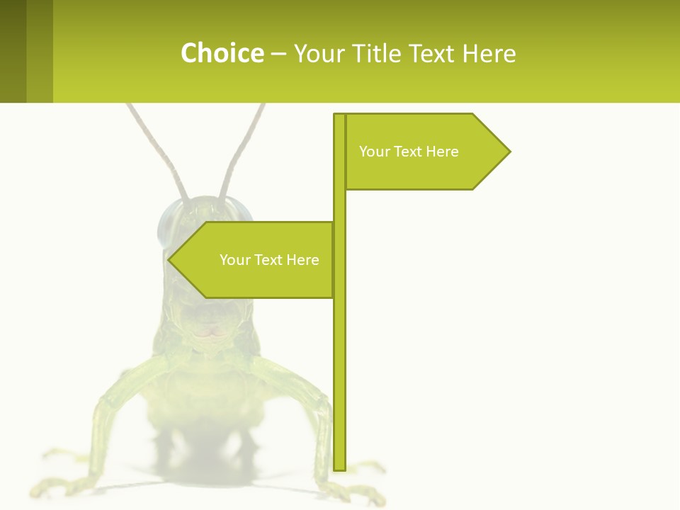Build Property Sky PowerPoint Template