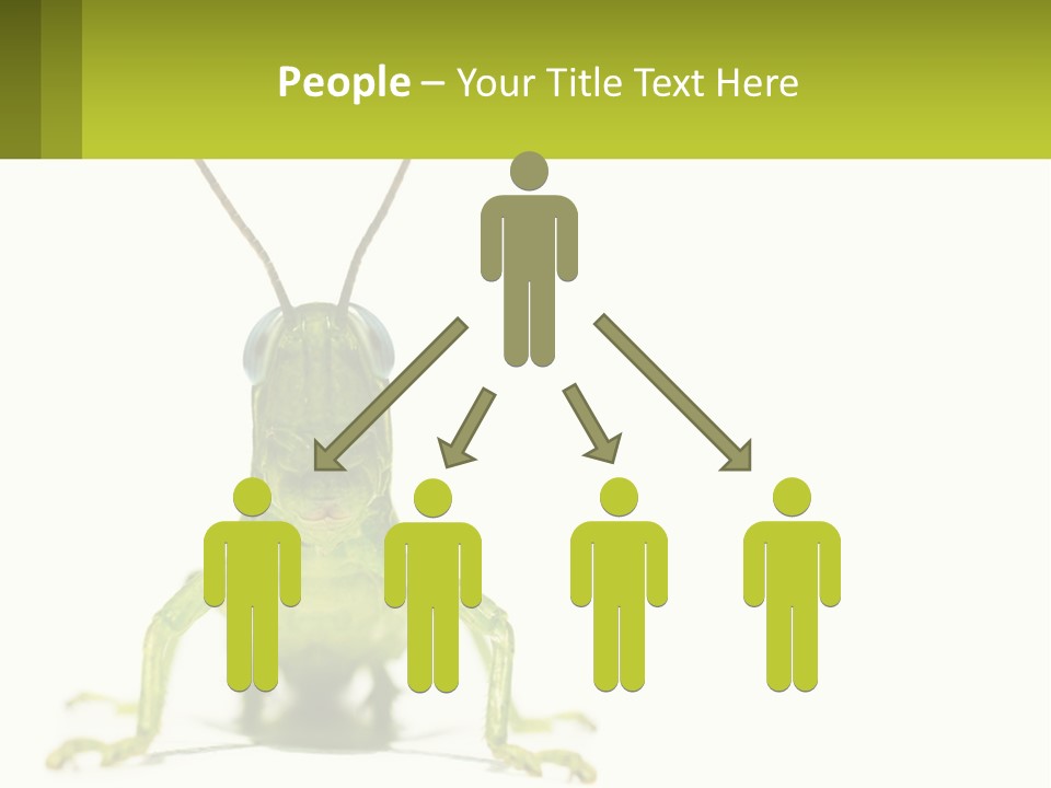 Build Property Sky PowerPoint Template