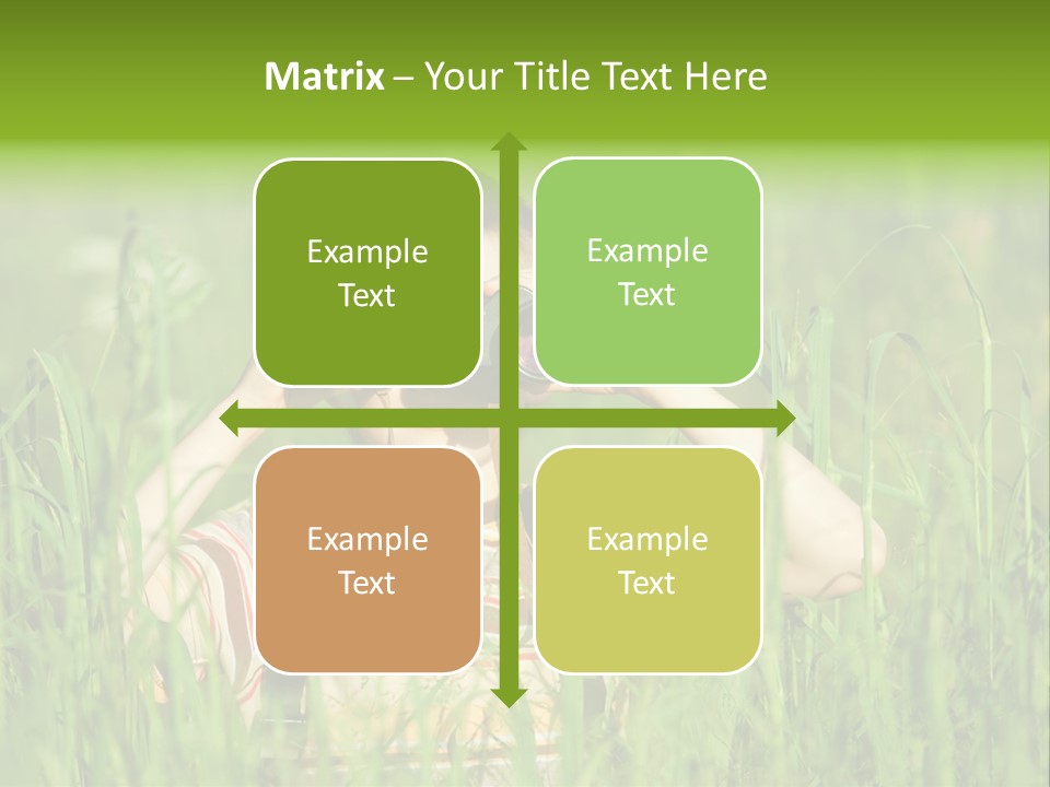 Leaf Ownership Architecture PowerPoint Template