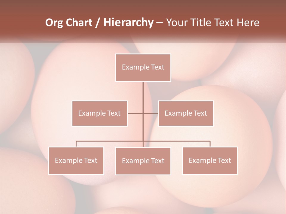 Construction Architect Rent PowerPoint Template