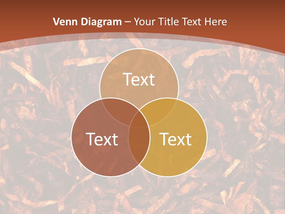 Construction Purchase Estate PowerPoint Template